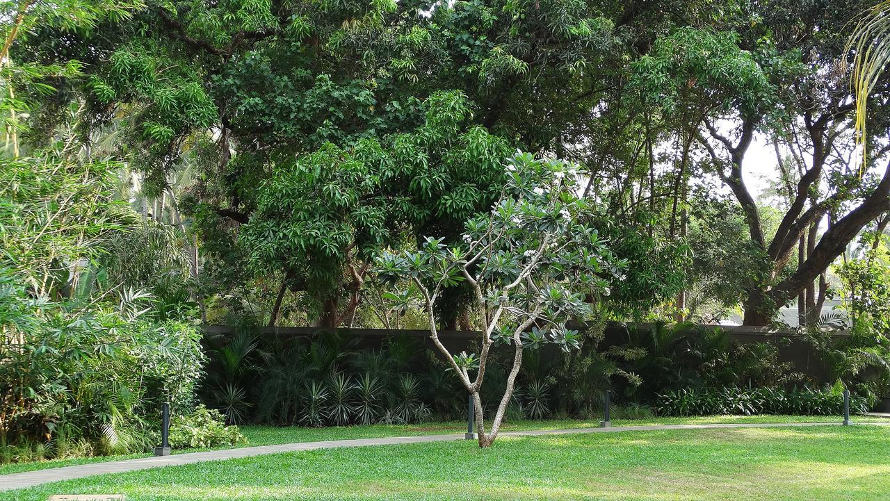 Andores Resort And Spa - Calangute Luaran gambar
